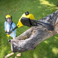 Best Lawn Mowing Services  in San Rafael, CA